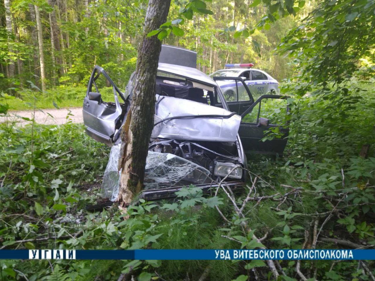 Под Полоцком легковушка врезалась в дерево