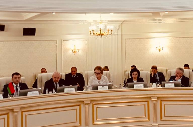 Анжелика Никитина приняла участие в заседании рабочей группы по сотрудничеству Республики Беларусь и Ставропольского края России