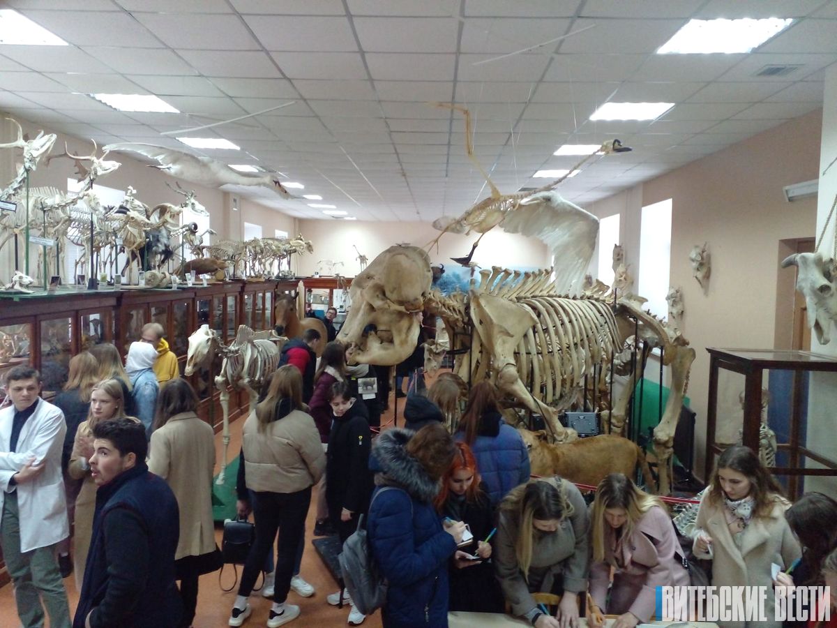 В День открытых дверей Витебскую ветакадемию посетили более 400 старшеклассников