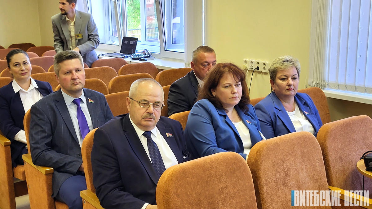 Депутаты обсудили практику внедрения цифровизации в систему налогообложения на примере Оршанского района