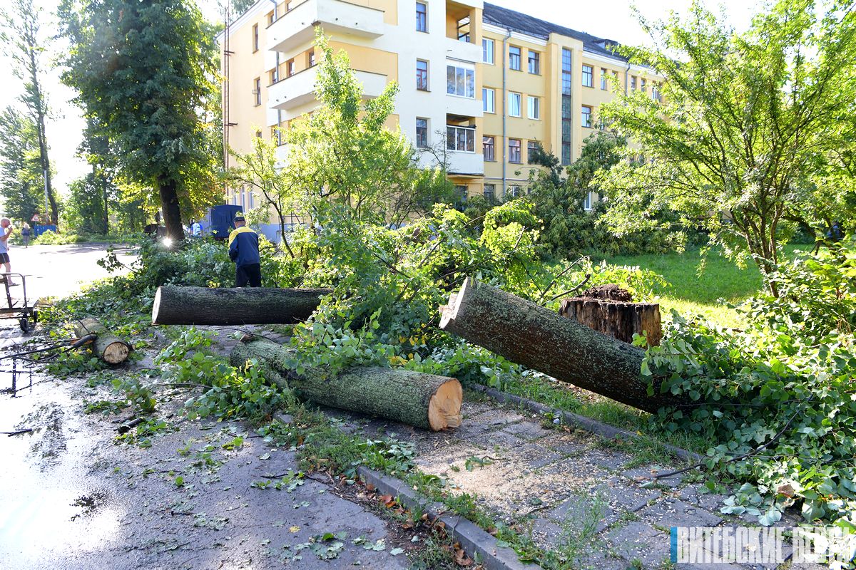 В Витебской области продолжают ликвидацию последствий ураганного ветра с дождём
