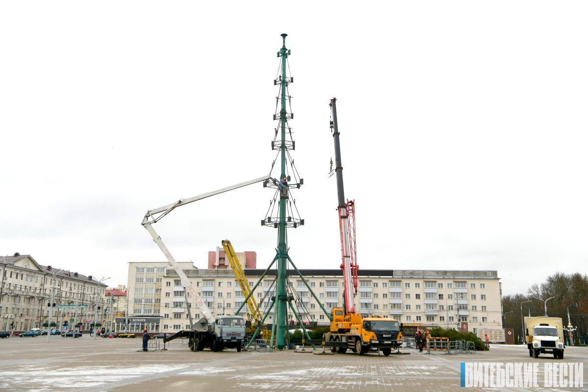 ФОТОФАКТ: В Витебске идёт монтаж главной новогодней елки