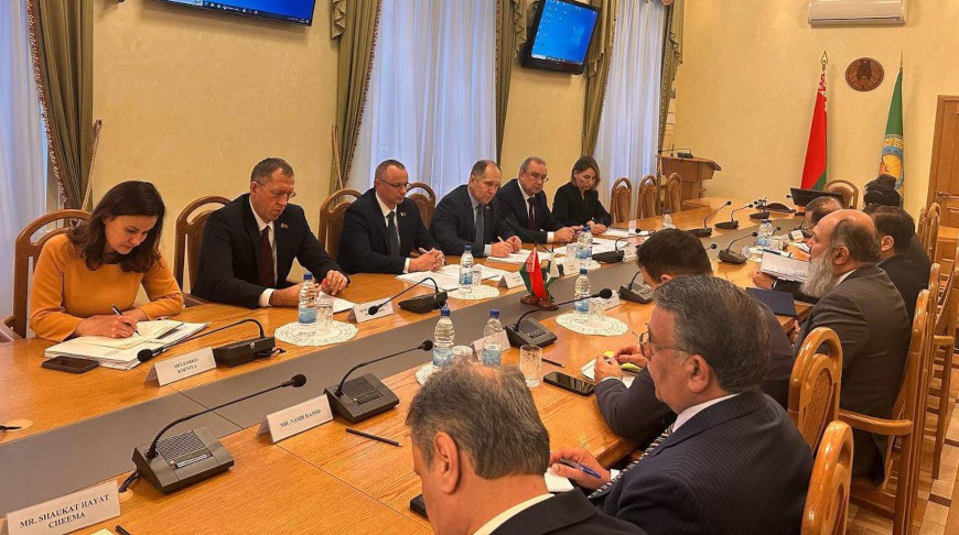 Беларусь в прошлом году нарастила экспорт молочки в Пакистан в три раза