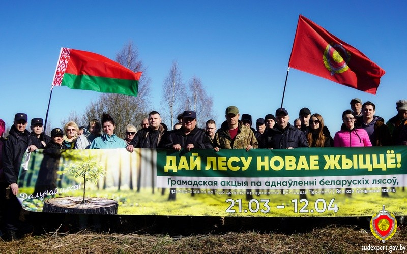 Судебные эксперты Витебской области высадили более 18 тыс. деревьев в рамках акции «Дай лесу новае жыцце»