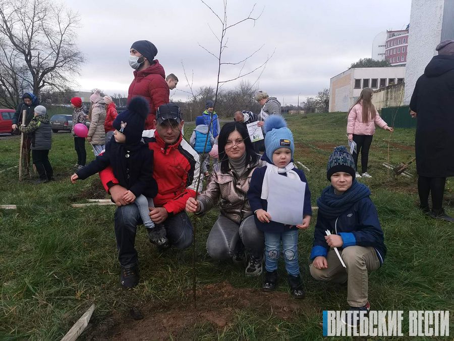 В Витебске заложили несколько аллей семейных деревьев
