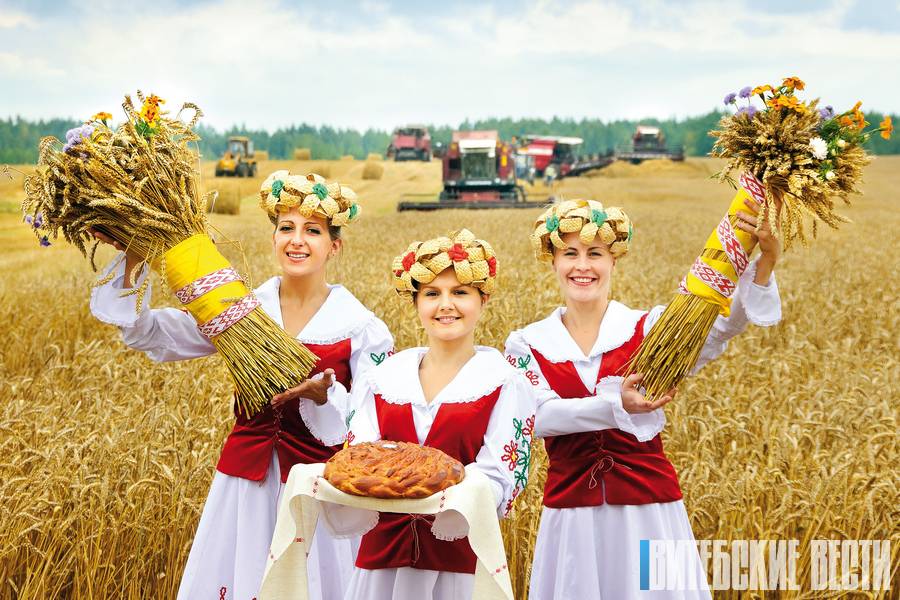 Водное шоу и звезды шоу-бизнеса. Чем еще удивит гостей праздник тружеников села «Дажынкі-2019» в Браславе?
