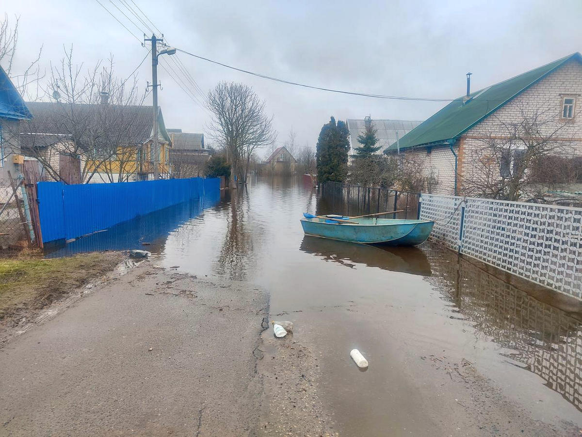 В районе Полоцка и Верхнедвинска уровень воды в Западной Двине превысил критическую отметку