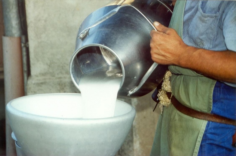 moloko