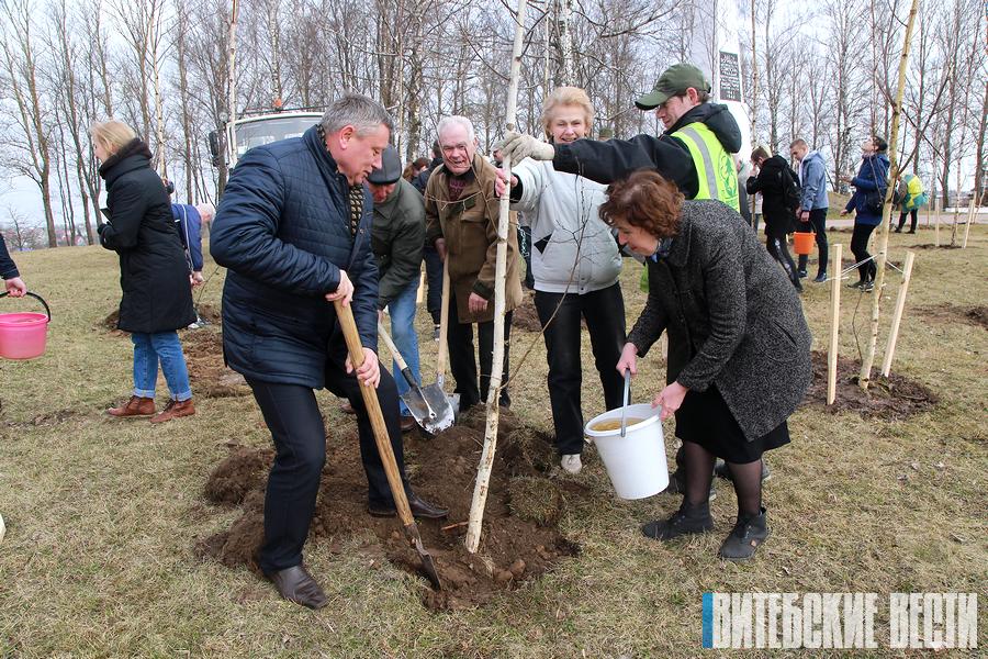 Березовую аллею заложили у мемориала «5-й полк» в Витебске
