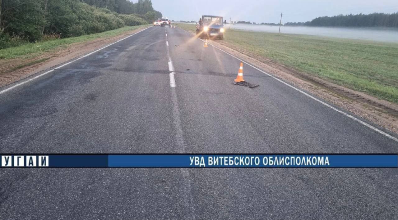 В Витебской области на автодороге погиб пешеход