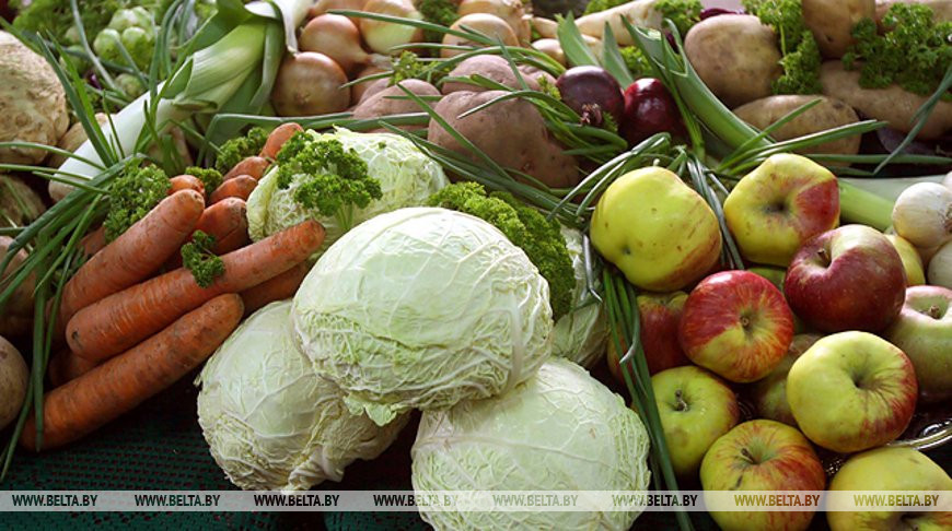 В Витебской области к массовой закладке сельхозпродукции в стабфонды приступят с 15 сентября