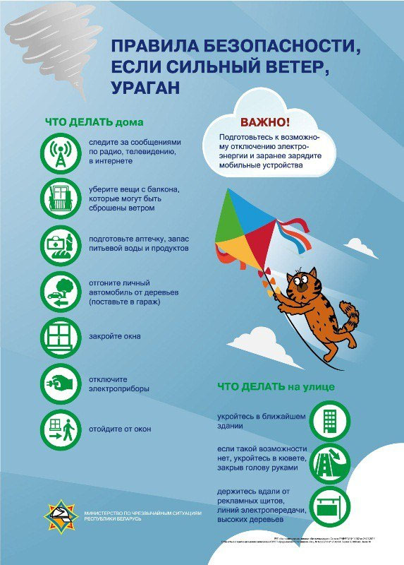 Спасатели ликвидируют последствия непогоды в Витебской области