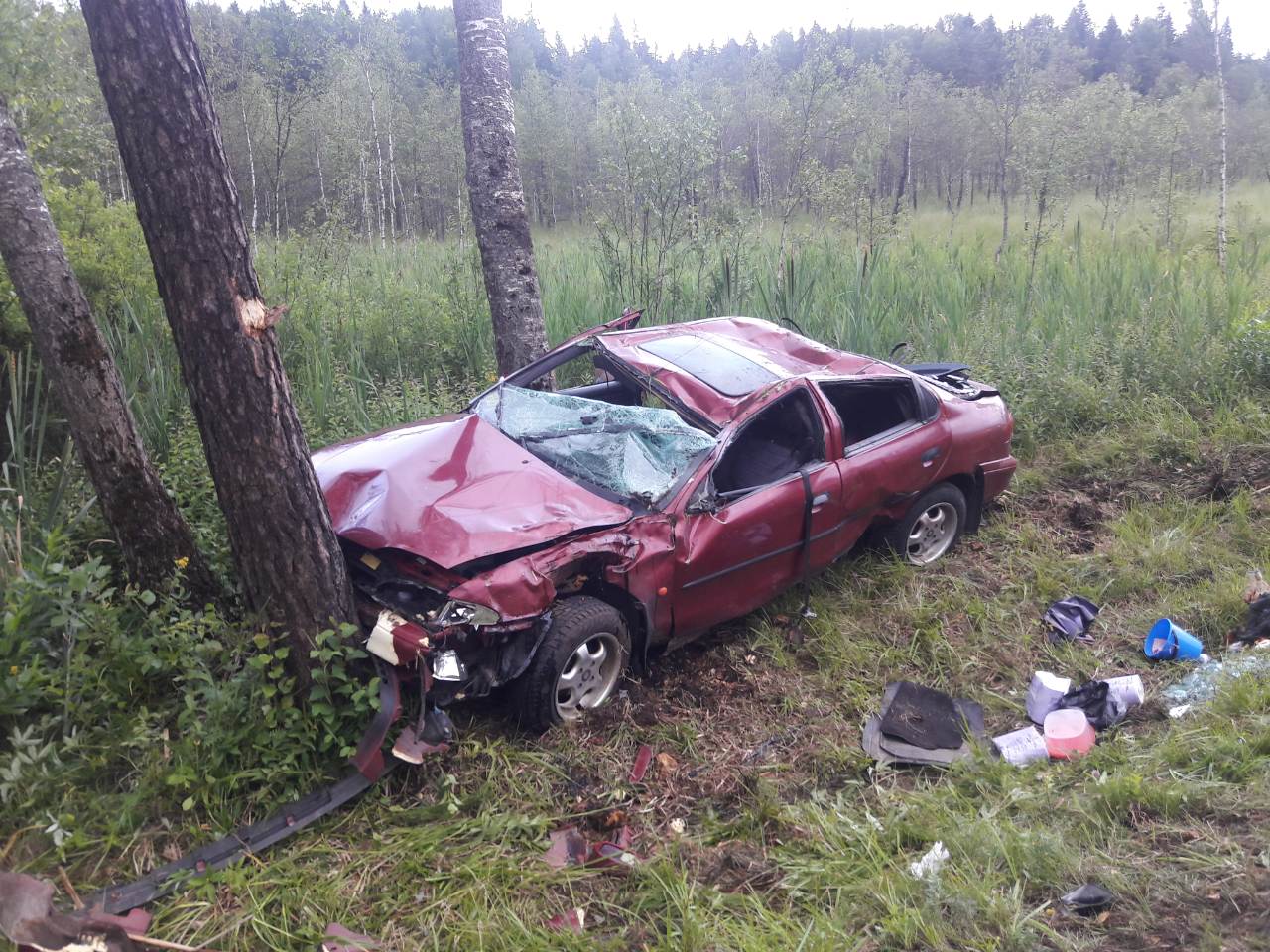В Полоцком районе легковушка вылетела в кювет