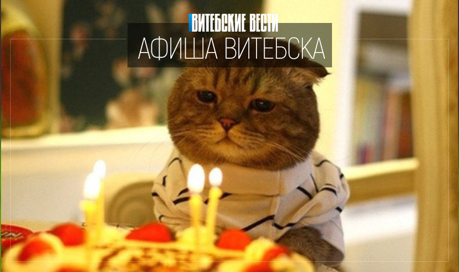 Поздравить приют для животных с Днем рождения и послушать страшные истории в темноте. Чем еще заняться на выходных в Витебске?