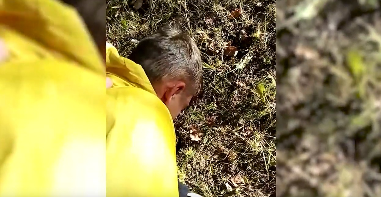В Витебске за серию краж из больниц и детских садов задержан подросток