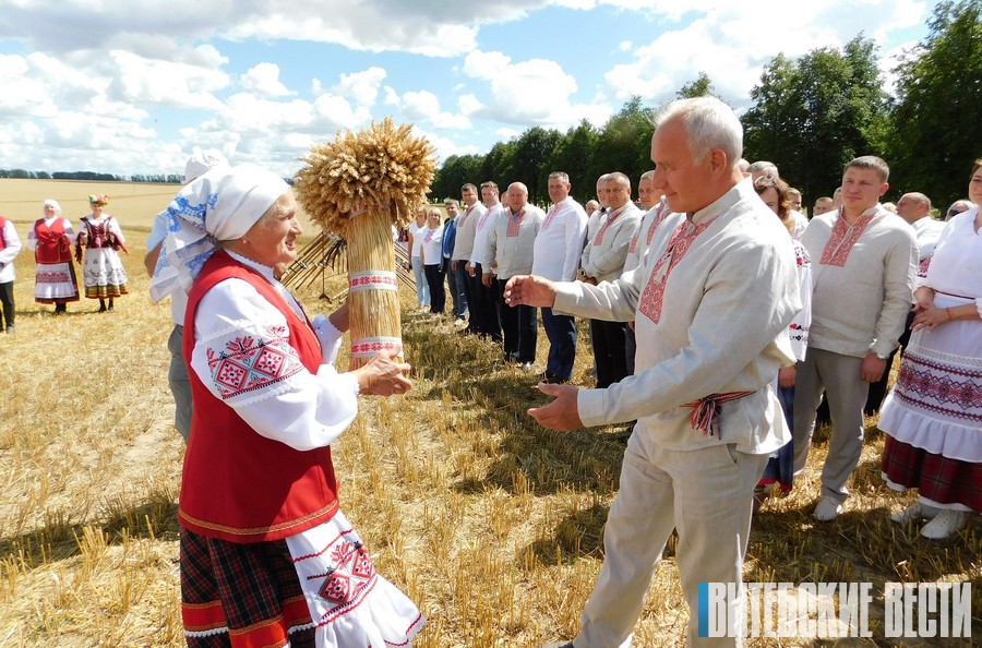 «Зажынкi» в «Заднепровском»: в Витебской области дан старт уборочной кампании