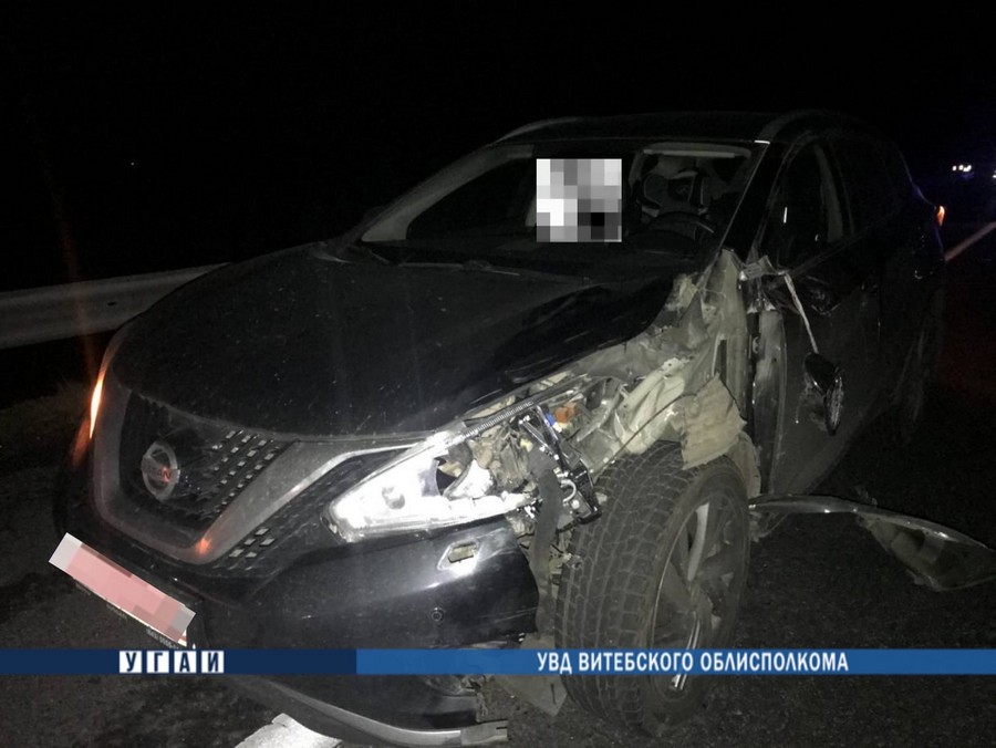 В Толочинском районе иномарка насмерть сбила пешехода
