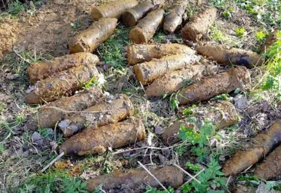 Под Городком обнаружили боеприпасы времен Великой Отечественной