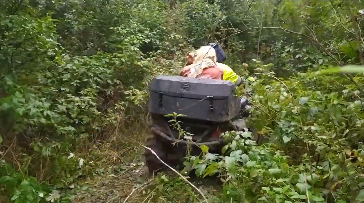 В Ушачском районе больше суток искали заблудившуюся в лесу женщину