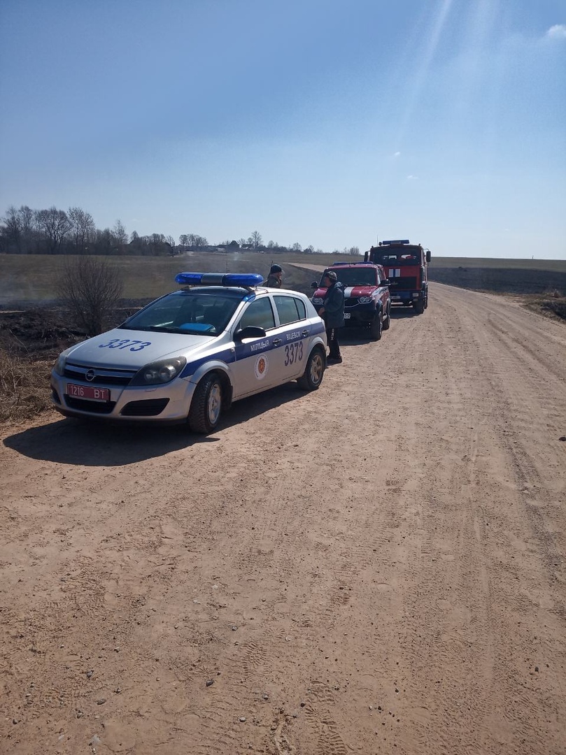 В Оршанском районе сгорело пять тонн соломы
