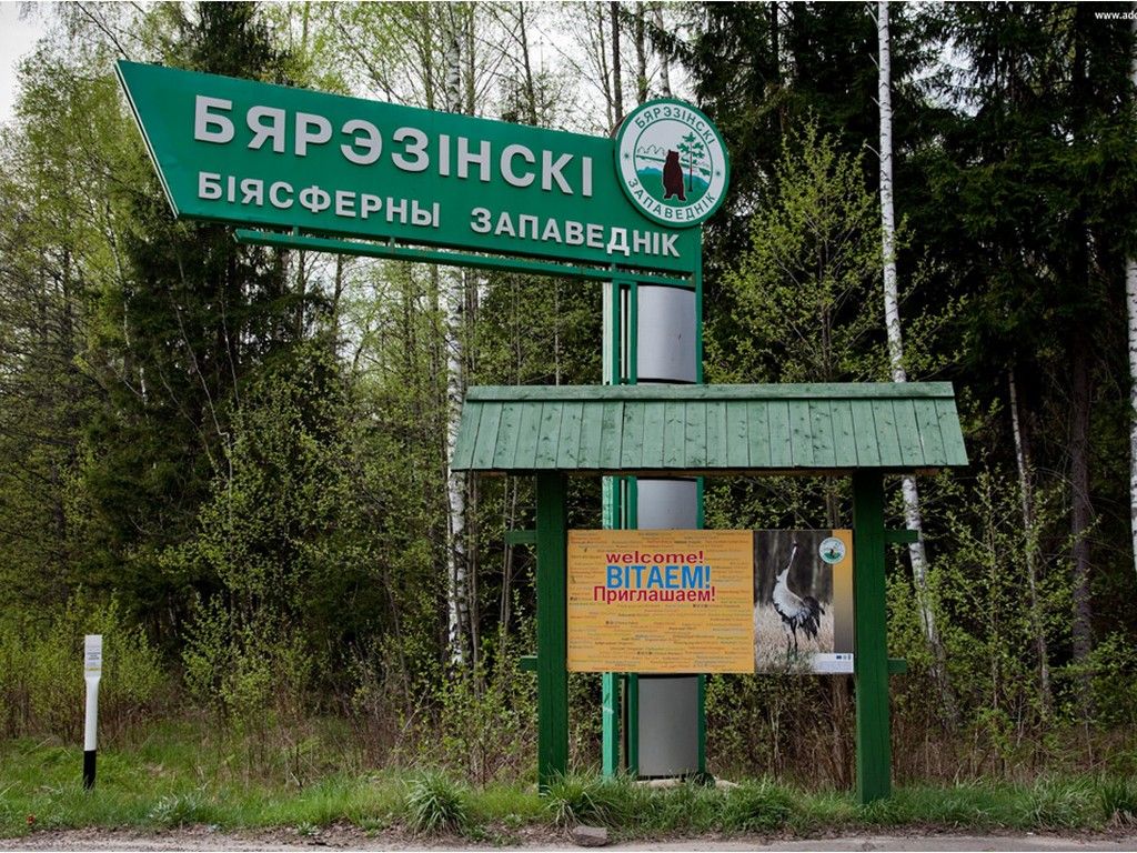Современное оборудование для раннего обнаружения лесных пожаров приобрел Березинский биосферный заповедник