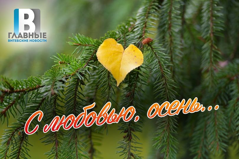 Запускаем голосование к нашему фотоконкурсу "С любовью, Осень"!