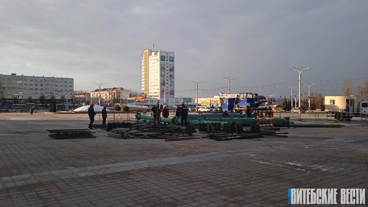ФОТОФАКТ: В Витебске на площади Победы началась установка новогодней елки