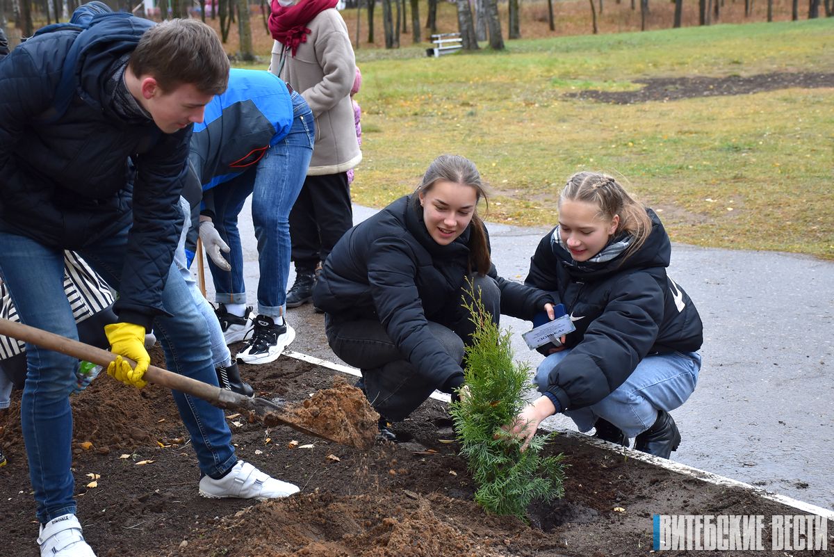 В парке Мазурино в Витебске появилась Аллея творчества