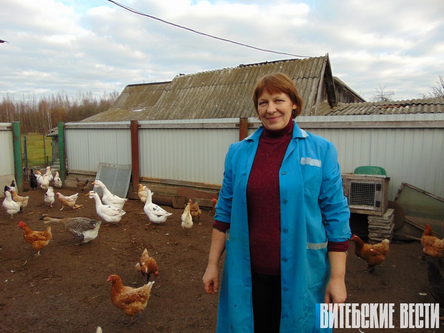Семья Какойченко из Лиозненского района поделилась опытом организации личного подсобного хозяйства