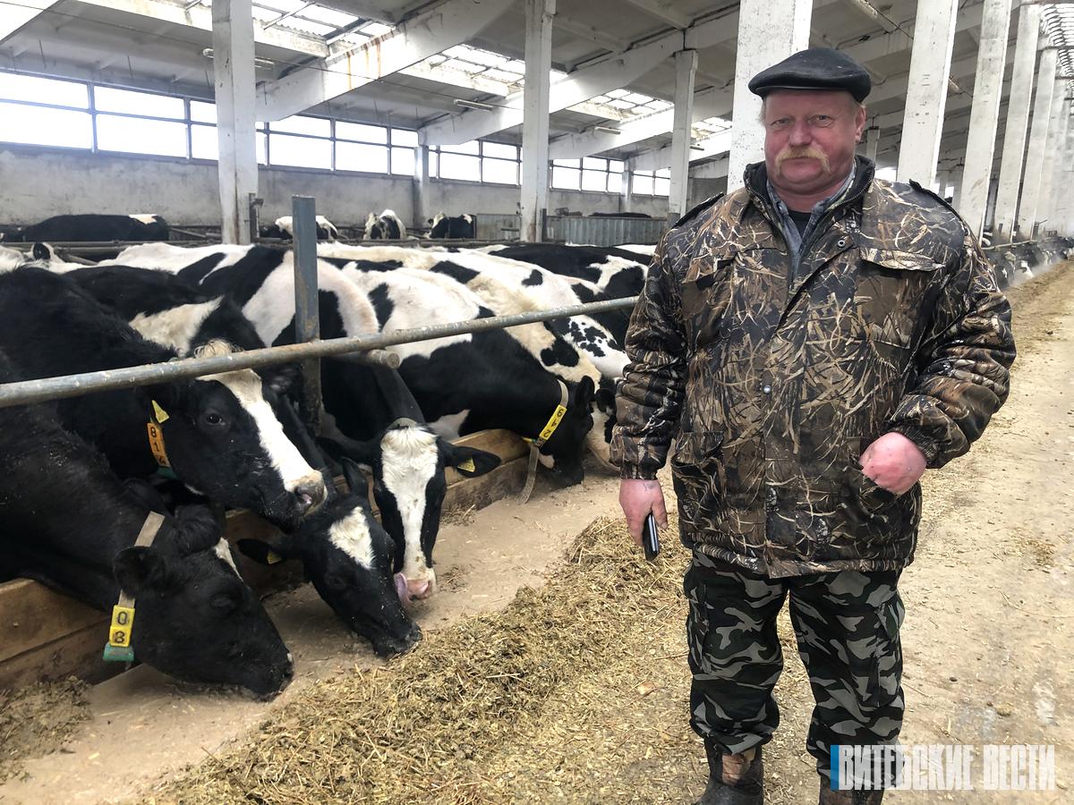 Заведующий МТК «Тяпино» в Чашникском районе Виктор Шарик: «Ожидаем, что среднесуточный валовый сбор молока в летний период достигнет 12 тонн» 