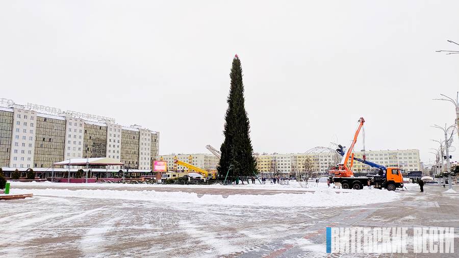 В Витебске завершается монтаж главной новогодней елки области