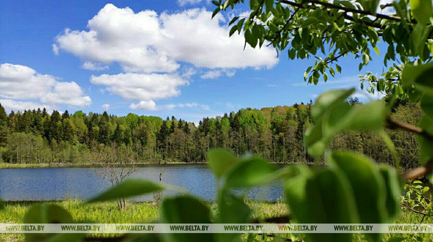 До +27°С ожидается в Беларуси 24 июня