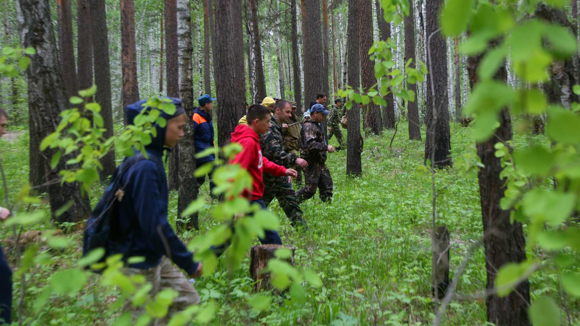 В лесу под Витебском пропали три женщины