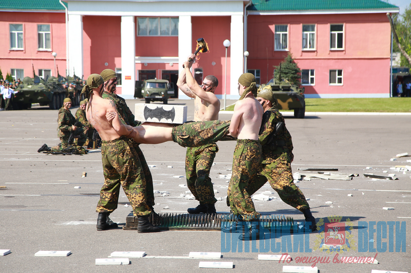 день вдв десантника витебск 2018
