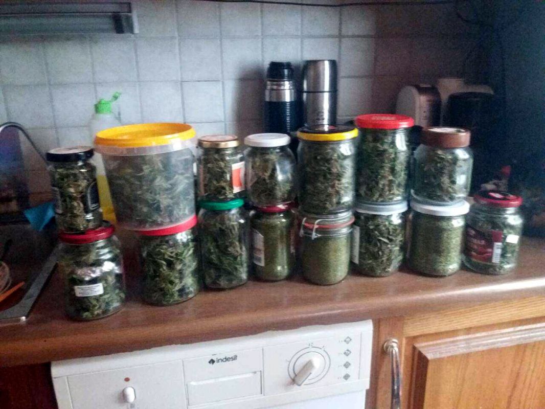 В Новополоцке задержали крупного наркоторговца 