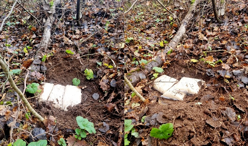 Уверенность в безнаказанности обернулась тюрьмой. В Беларуси задержаны наркоторговцы с крупной партией психотропов