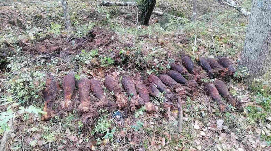 В Витебской области обнаружили свыше 1 тыс. боеприпасов военных лет