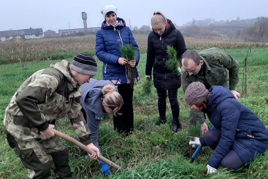 Около 700 саженцев посадили вблизи деревни Заречная Слобода Чашникского района
