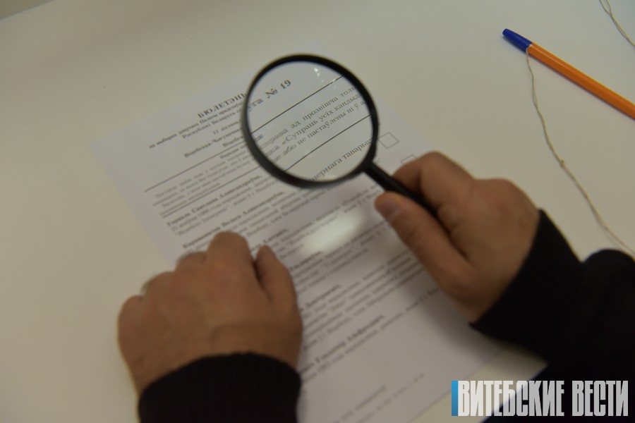 В Витебской области лица с ограниченными возможностями в полной мере могли реализовать свое избирательное право