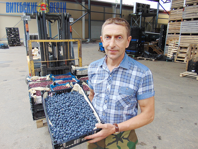 DSC04972