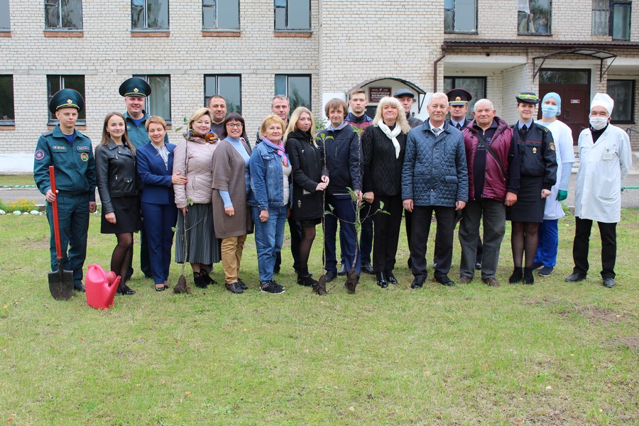 На территории Новозарянской больницы сестринского ухода Чашникского района разбили яблоневый сад