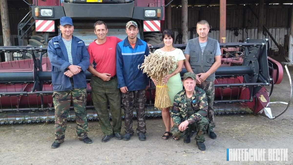 Механизаторы ОАО «Золотая подкова» Глубокского района: «Дажынкі» встречаем с чувством гордости за полученный каравай» 