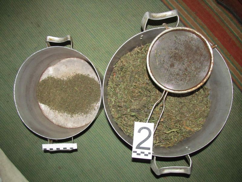 В Полоцке оперативники изъяли крупную партию марихуаны