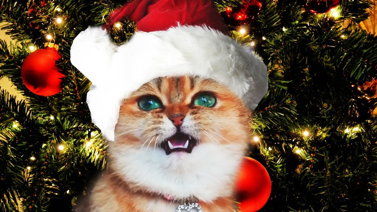 Афиша Витебска: полный Jingle Bells и советский Новый год