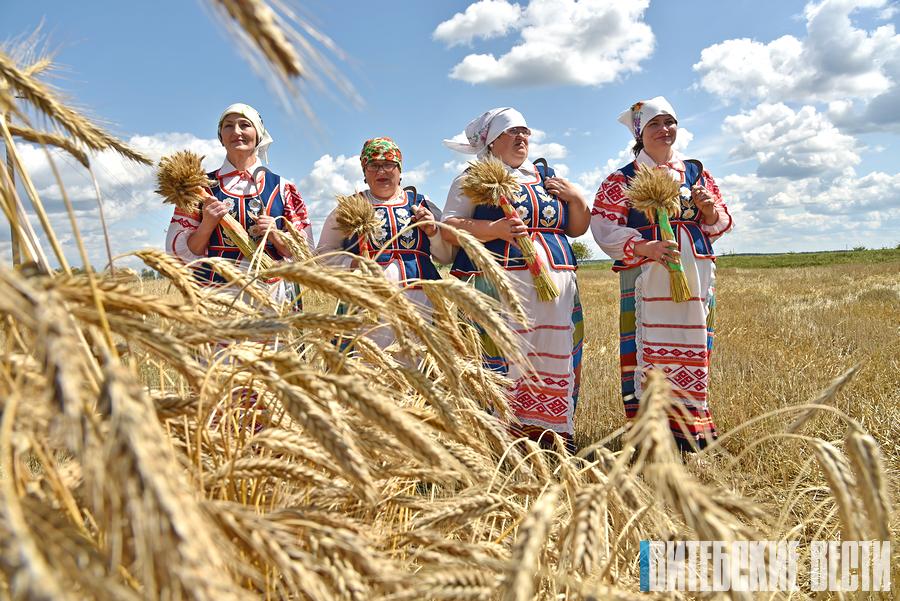 Обряд на полные закрома: в Докшицком районе провели «Зажинки»