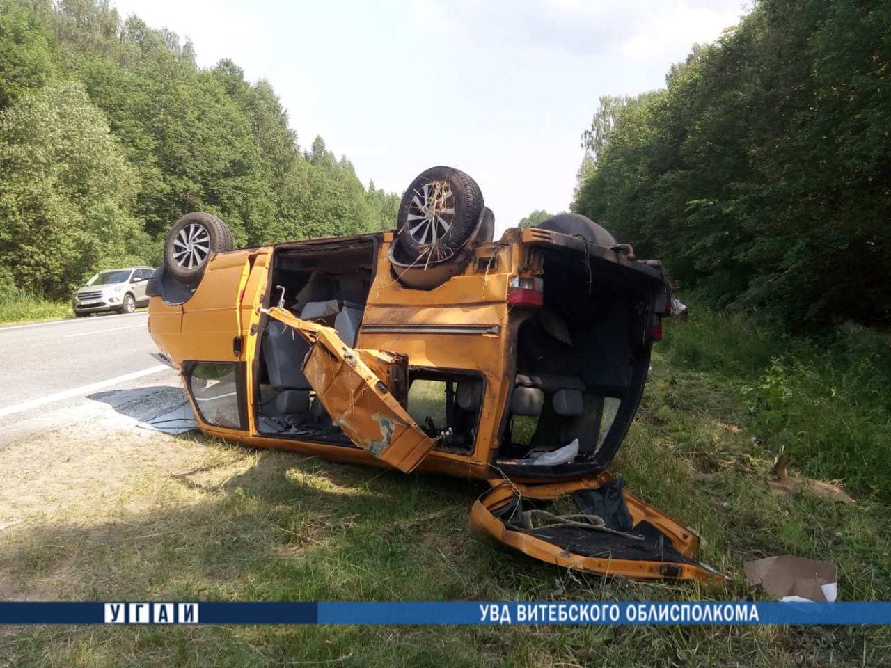 В Шумилинском районе микроавтобус врезался в лося: погибли 2 человека