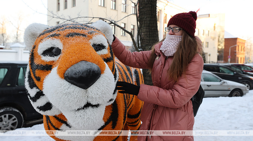 ФОТОФАКТ: Декоративную фигуру тигра установили в Витебске