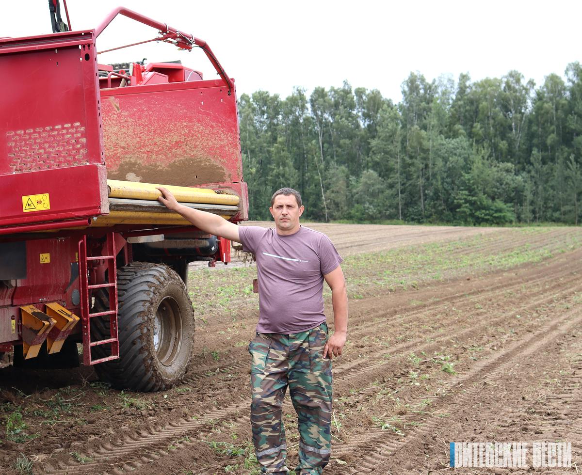 Толочинский консервный завод приступил к массовой уборке картофеля