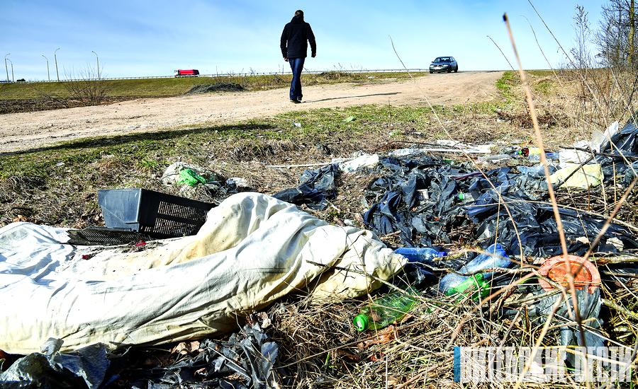 Около 40 несанкционированных свалок выявлено и убрано в Витебской области
