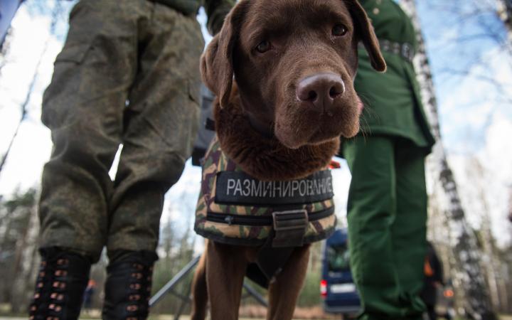 Тревога о заложенном в Витебске в здании обкома БРСМ взрывном устройстве оказалась ложной